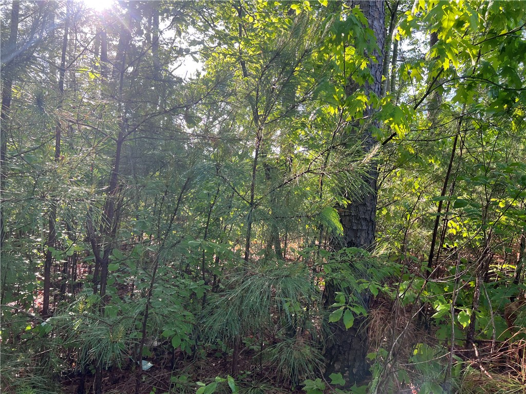 0 Seed Farm Road Westminster, SC 29693 - Photo 3 of 9