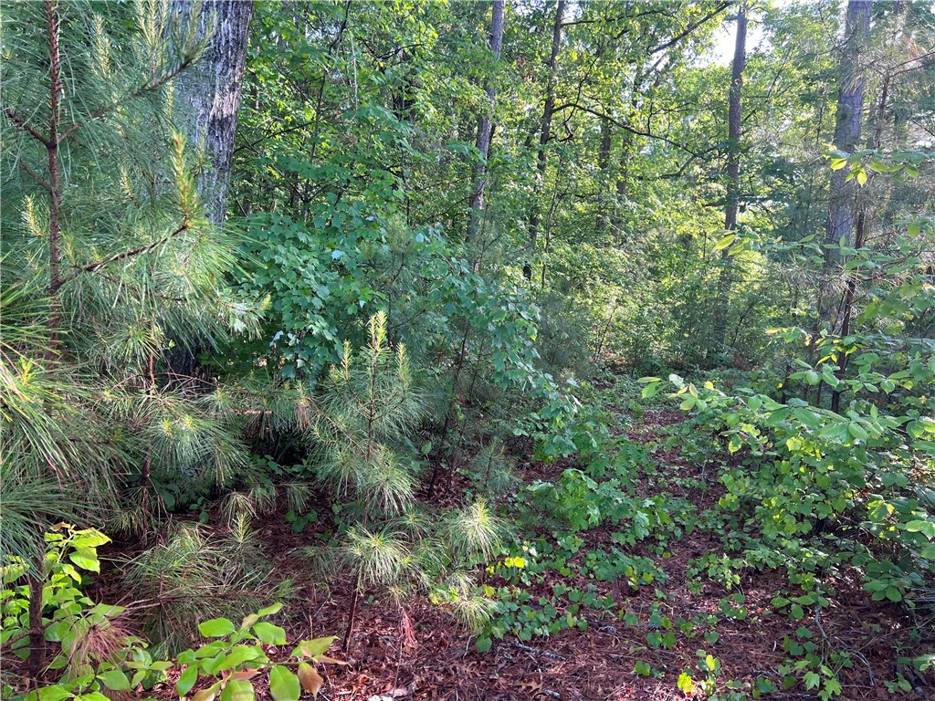 0 Seed Farm Road Westminster, SC 29693 - Photo 4 of 9