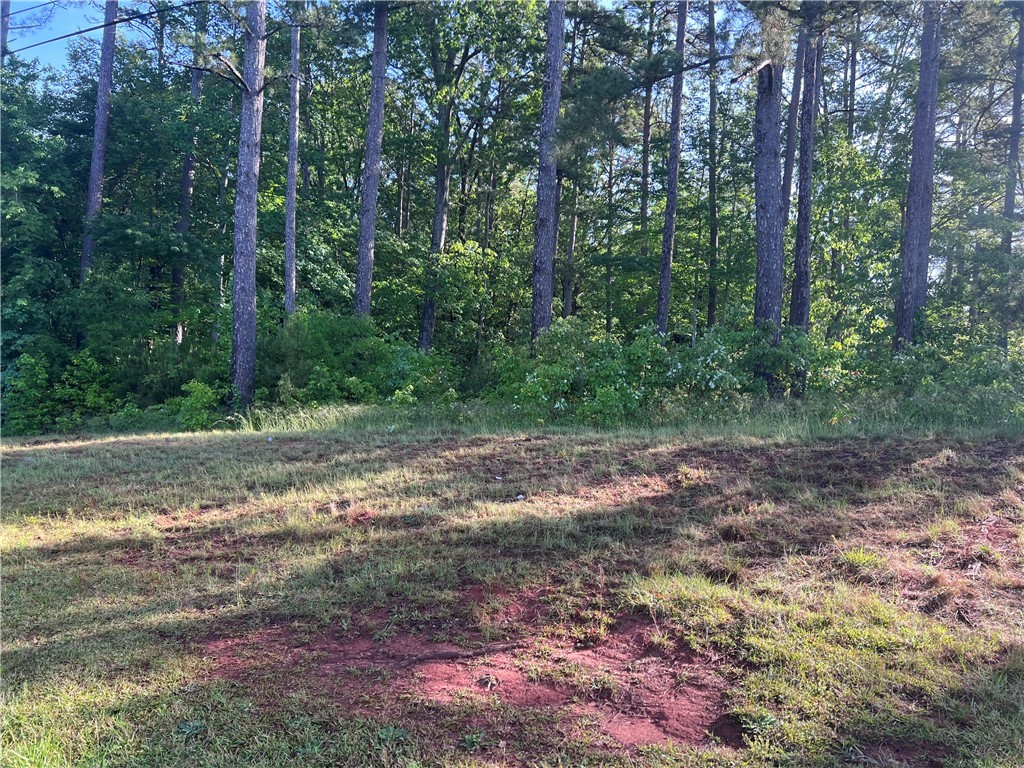 0 Seed Farm Road Westminster, SC 29693 - Photo 5 of 9