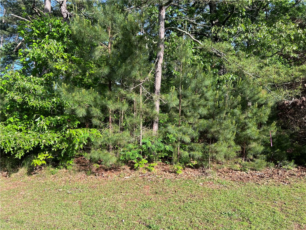 0 Seed Farm Road Westminster, SC 29693 - Photo 6 of 9