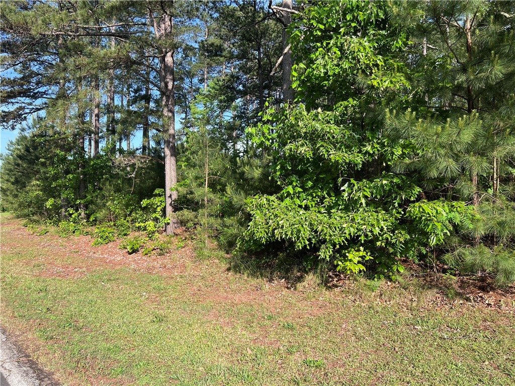0 Seed Farm Road Westminster, SC 29693 - Photo 7 of 9