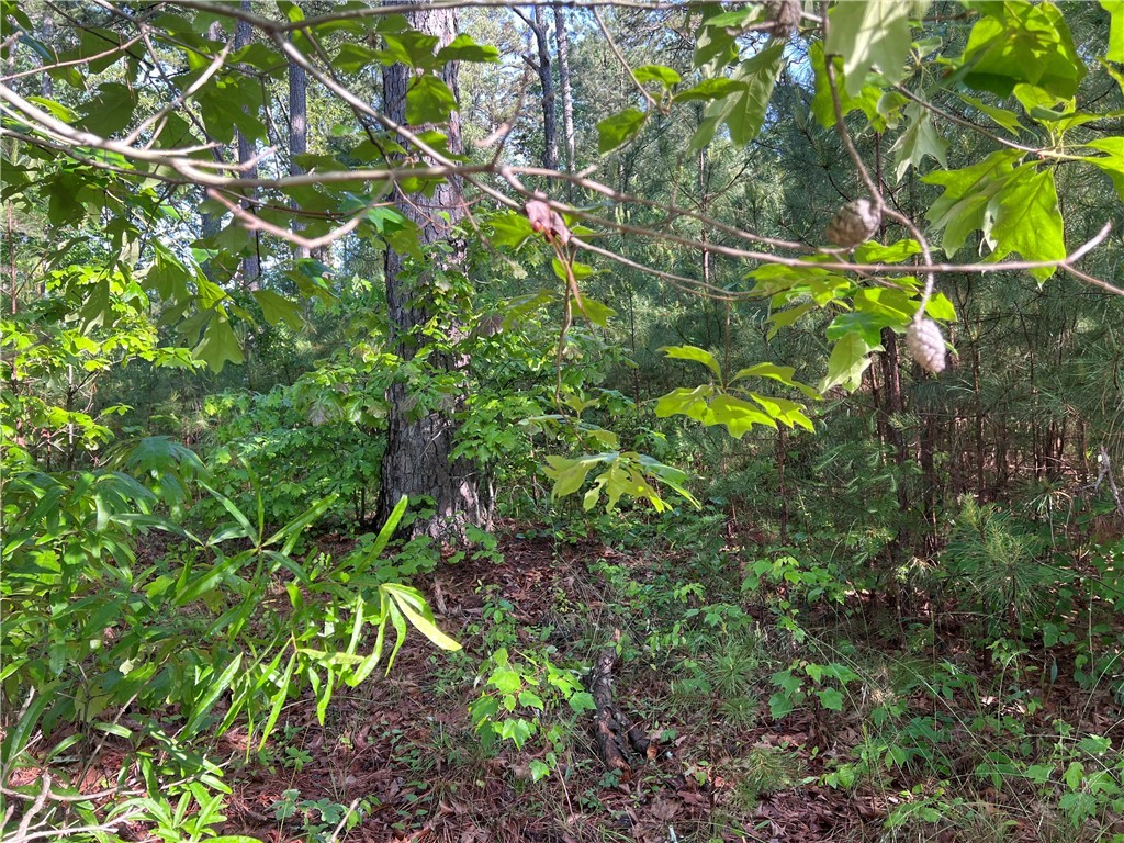 0 Seed Farm Road Westminster, SC 29693 - Photo 8 of 9