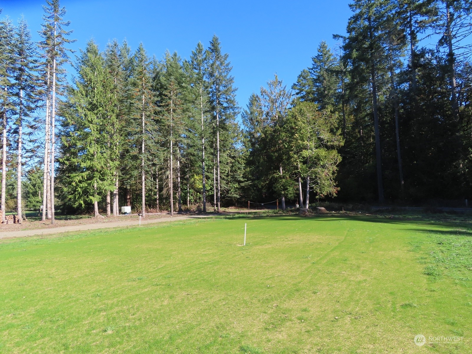 a view of a tennis ground with trees in the background