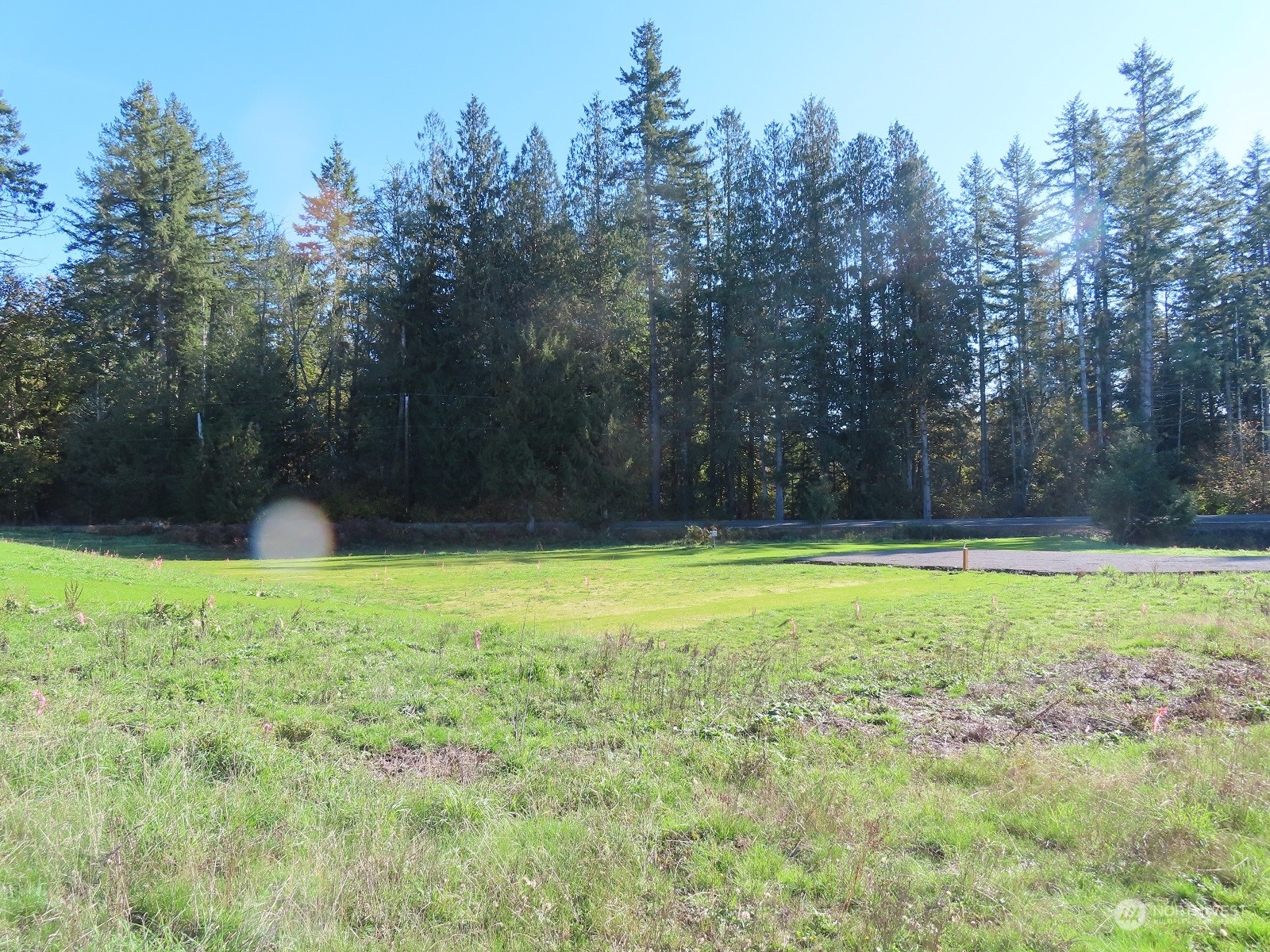 1581 Spencer Road North Onalaska, WA 98570 - Photo 4 of 18 a view of outdoor space and yard