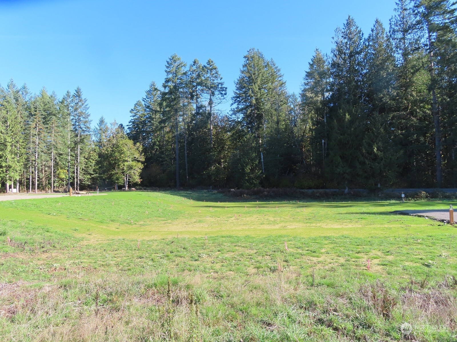 1581 Spencer Road North Onalaska, WA 98570 - Photo 5 of 18 a view of a yard with a trees