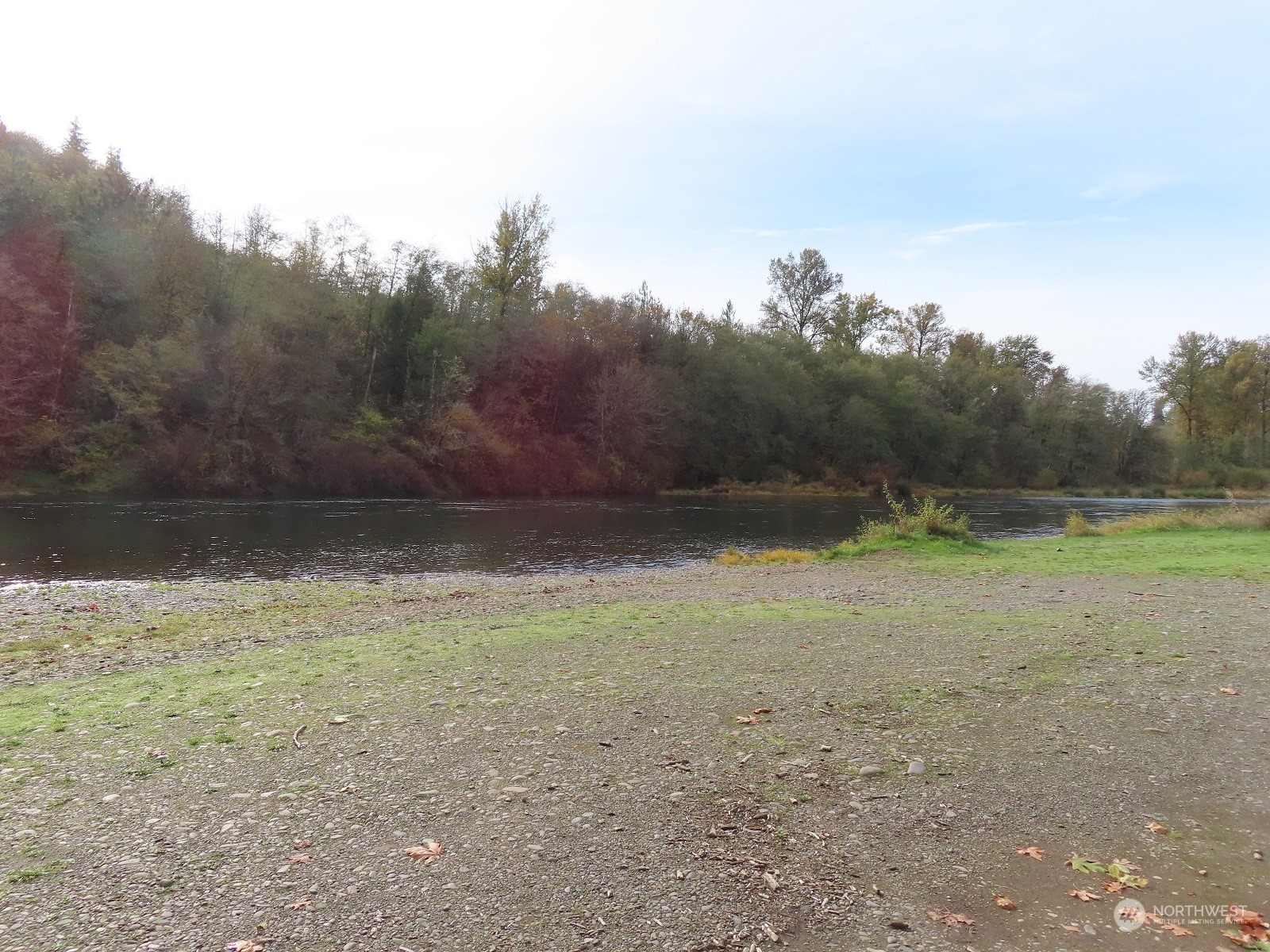 1581 Spencer Road North Onalaska, WA 98570 - Photo 6 of 18 a view of a field with trees in the background