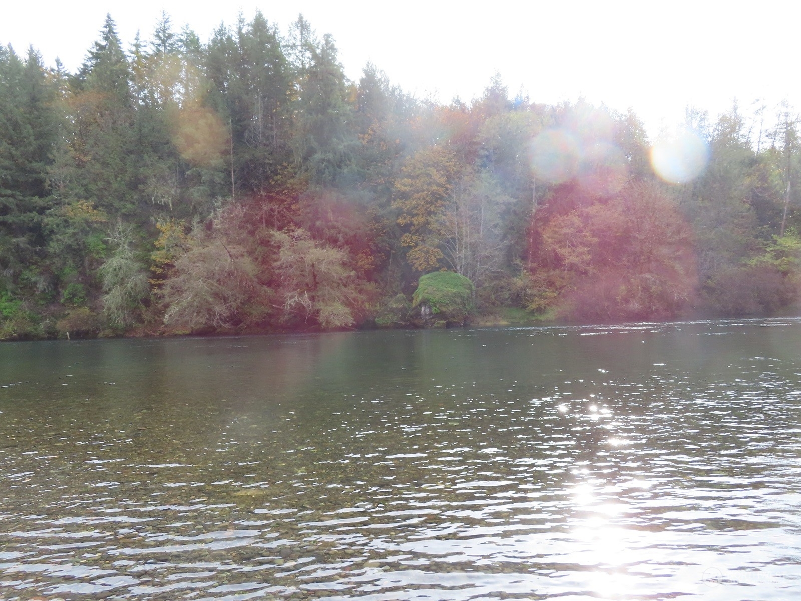 1581 Spencer Road North Onalaska, WA 98570 - Photo 10 of 18 a view of a lake view