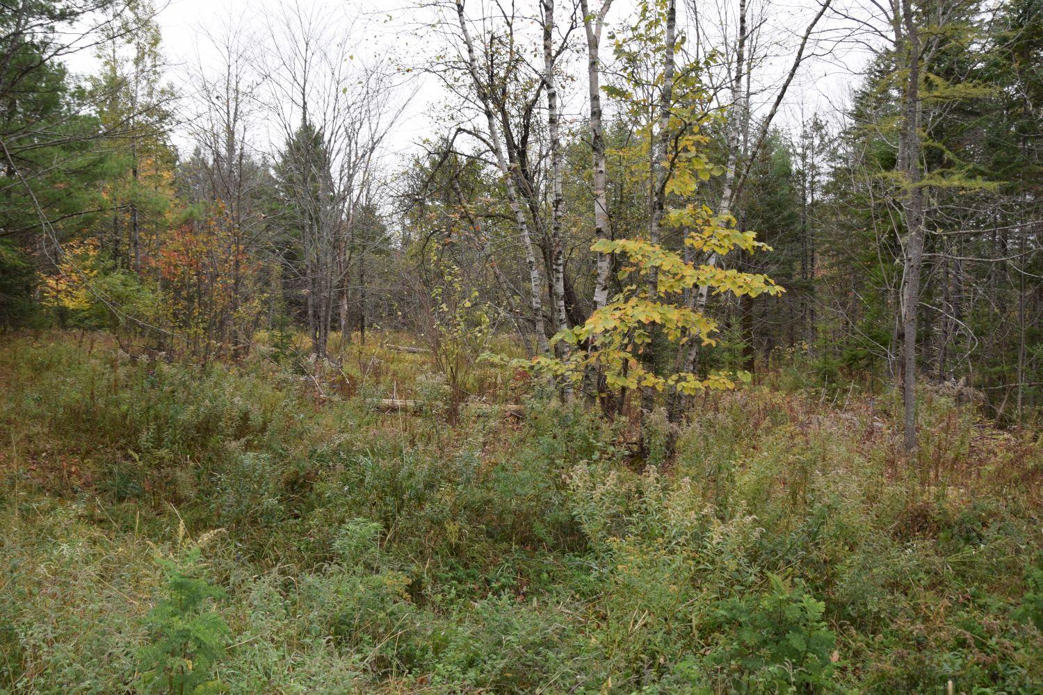 27 Osberg Road Harmony, ME 04942 - Photo 16 of 22 DSC_0013