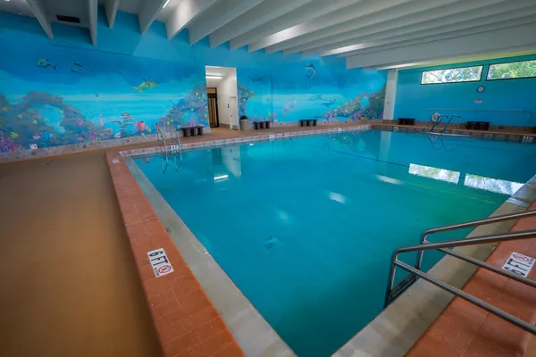 a view of a swimming pool with a yard