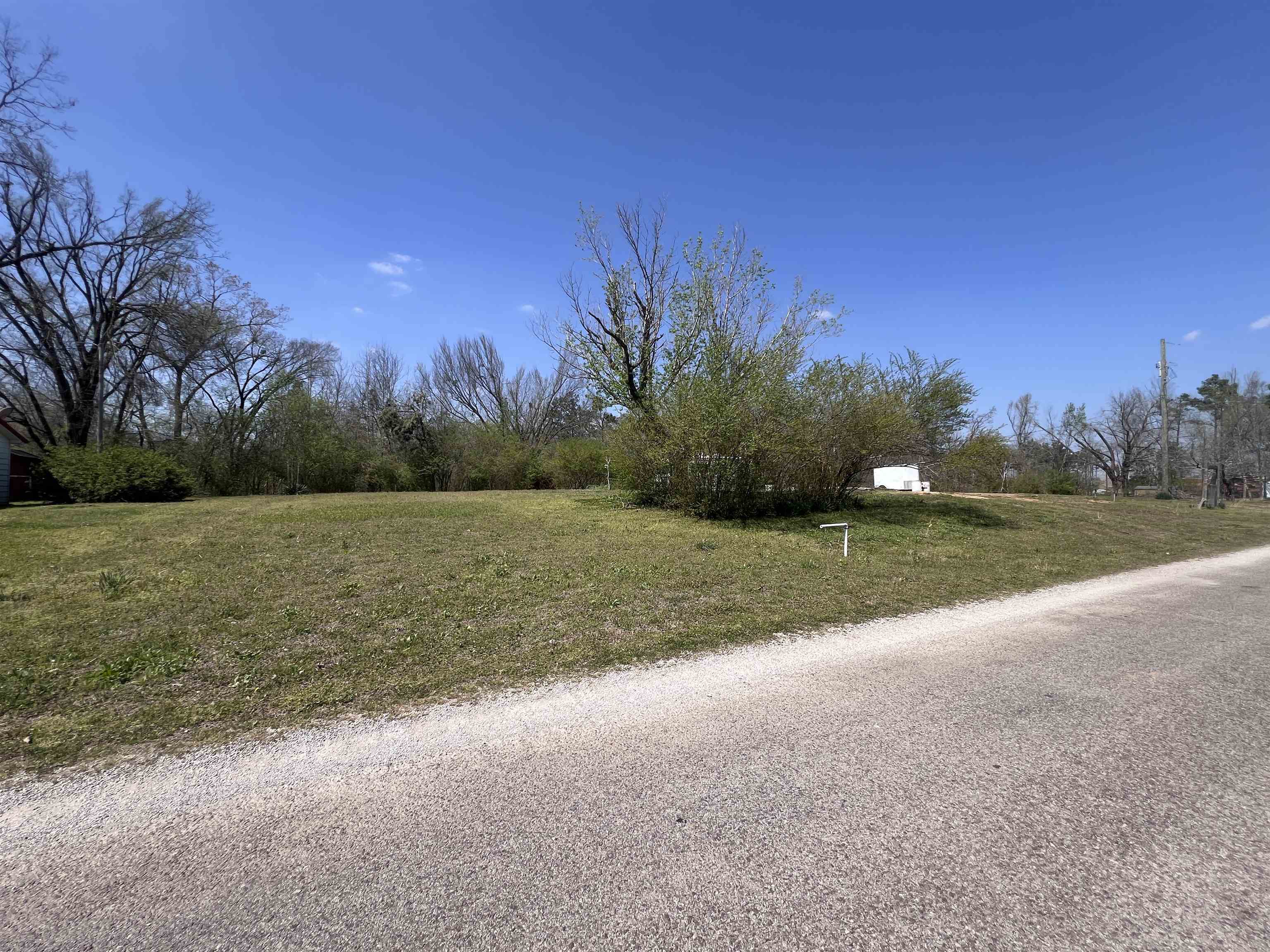 410 Angotti Road Crump, TN 38327 - Photo 3 of 15