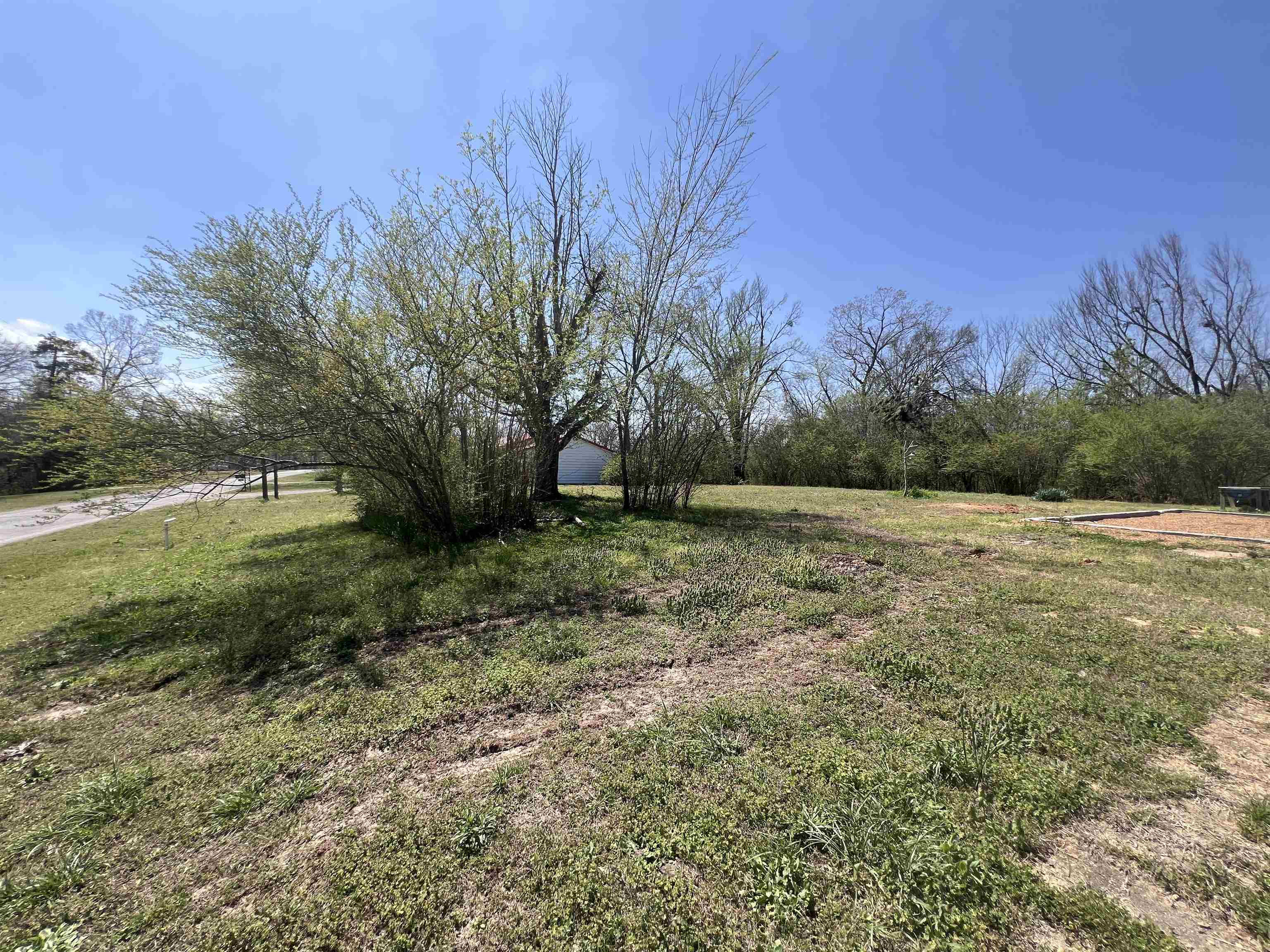 410 Angotti Road Crump, TN 38327 - Photo 5 of 15