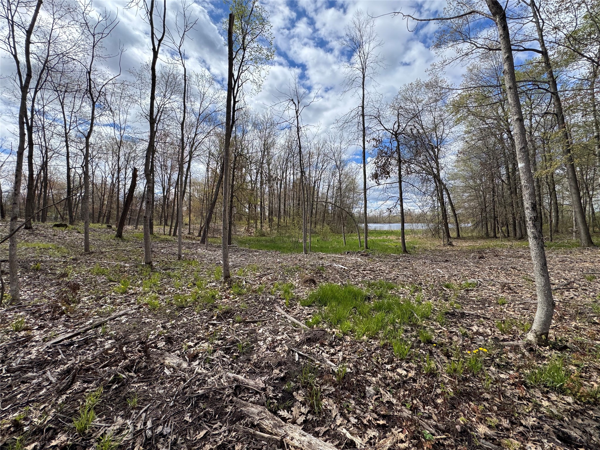 0 Ramer Road Bruce, WI 54819 - Photo 18 of 23