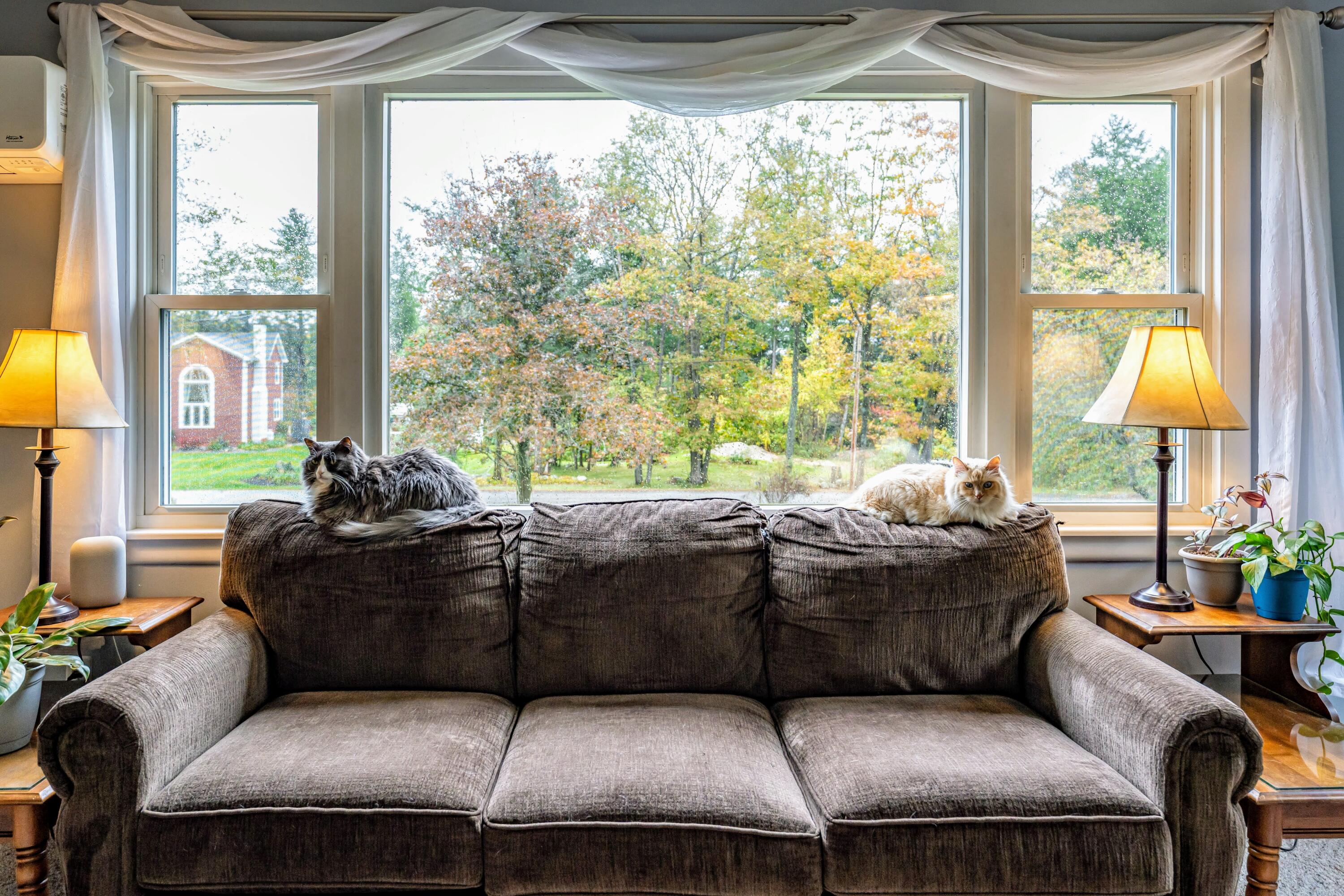 225 Vickery Road Auburn, ME 04210 - Photo 15 of 59 DSC06325