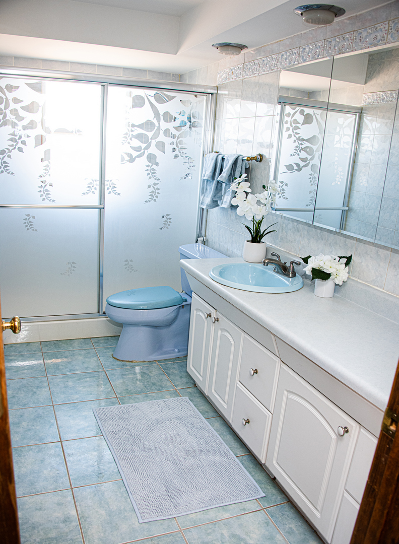 10804 Massasoit Avenue Chicago Ridge, IL 60415 - Photo 15 of 24