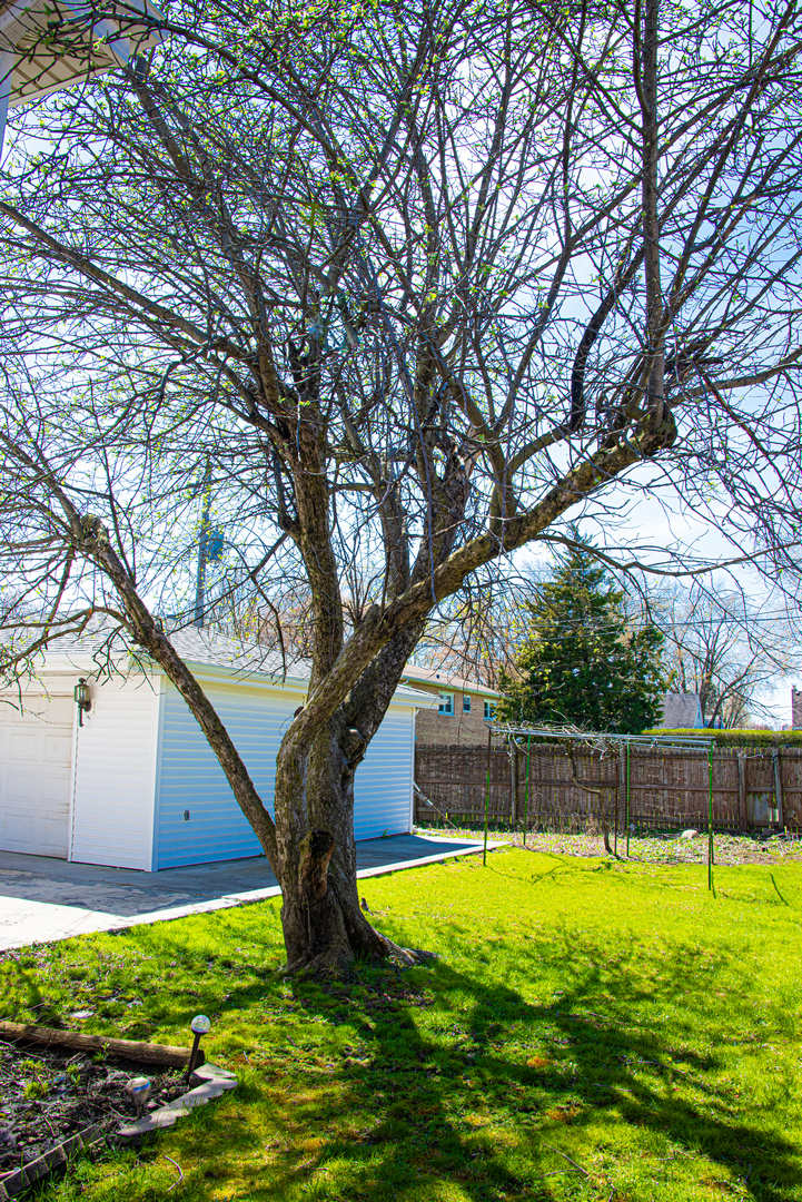 10804 Massasoit Avenue Chicago Ridge, IL 60415 - Photo 23 of 24
