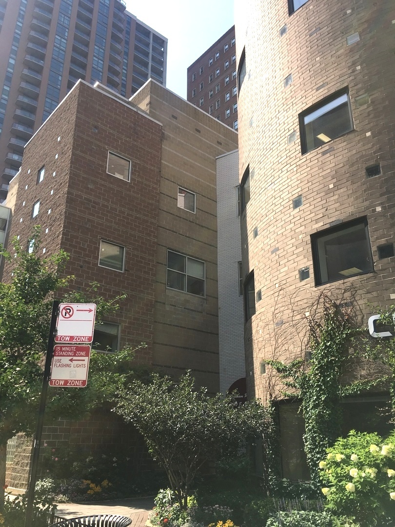 40 East 9th Street, Unit 412 Chicago, IL 60605 - Photo 1 of 16