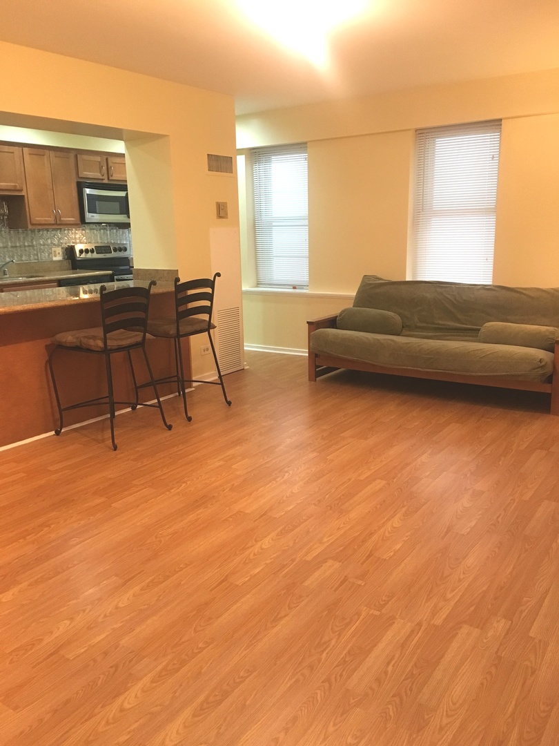 40 East 9th Street, Unit 412 Chicago, IL 60605 - Photo 4 of 16