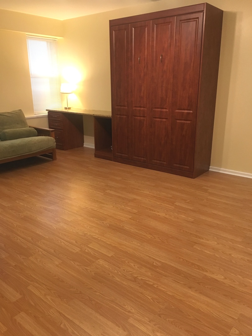 40 East 9th Street, Unit 412 Chicago, IL 60605 - Photo 5 of 16