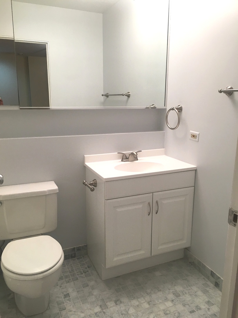 40 East 9th Street, Unit 412 Chicago, IL 60605 - Photo 8 of 16