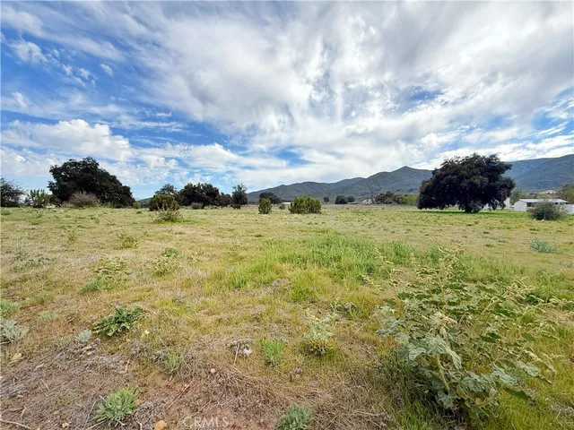 a view of a field with an trees