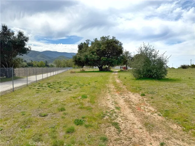 a view of yard with swimming pool and trees in the background