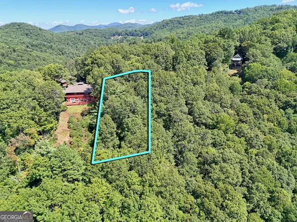 a view of a forest from a yard