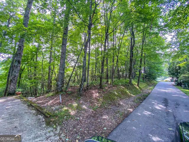 $80,000 | Lot 1 Pleasant Mountain Drive, Sky Valley, GA 30537