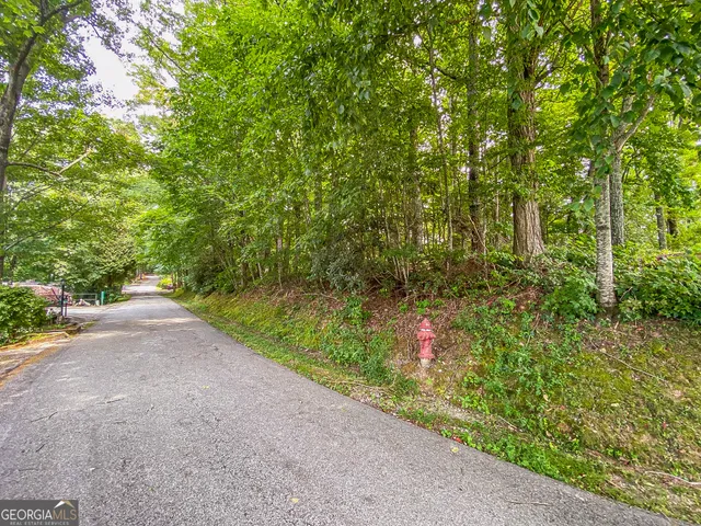 $80,000 | Lot 1 Pleasant Mountain Drive, Sky Valley, GA 30537