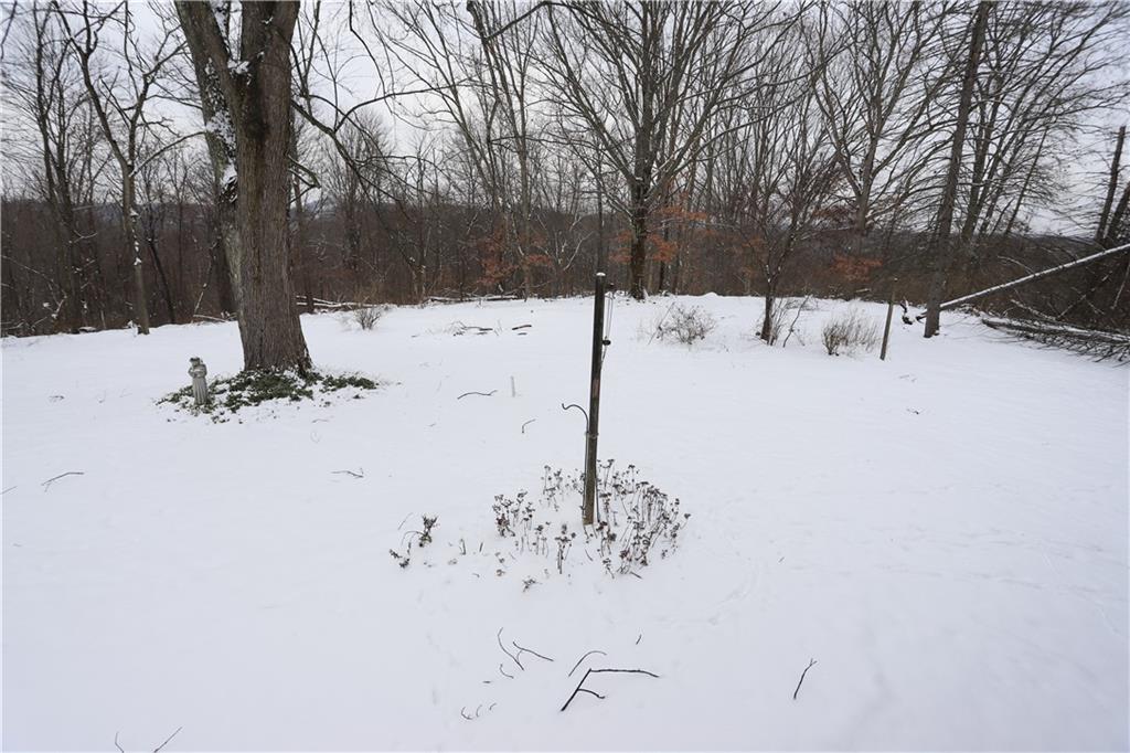5280 Beech Road Apollo, PA 15613 - Photo 44 of 46 Gallery Image 44