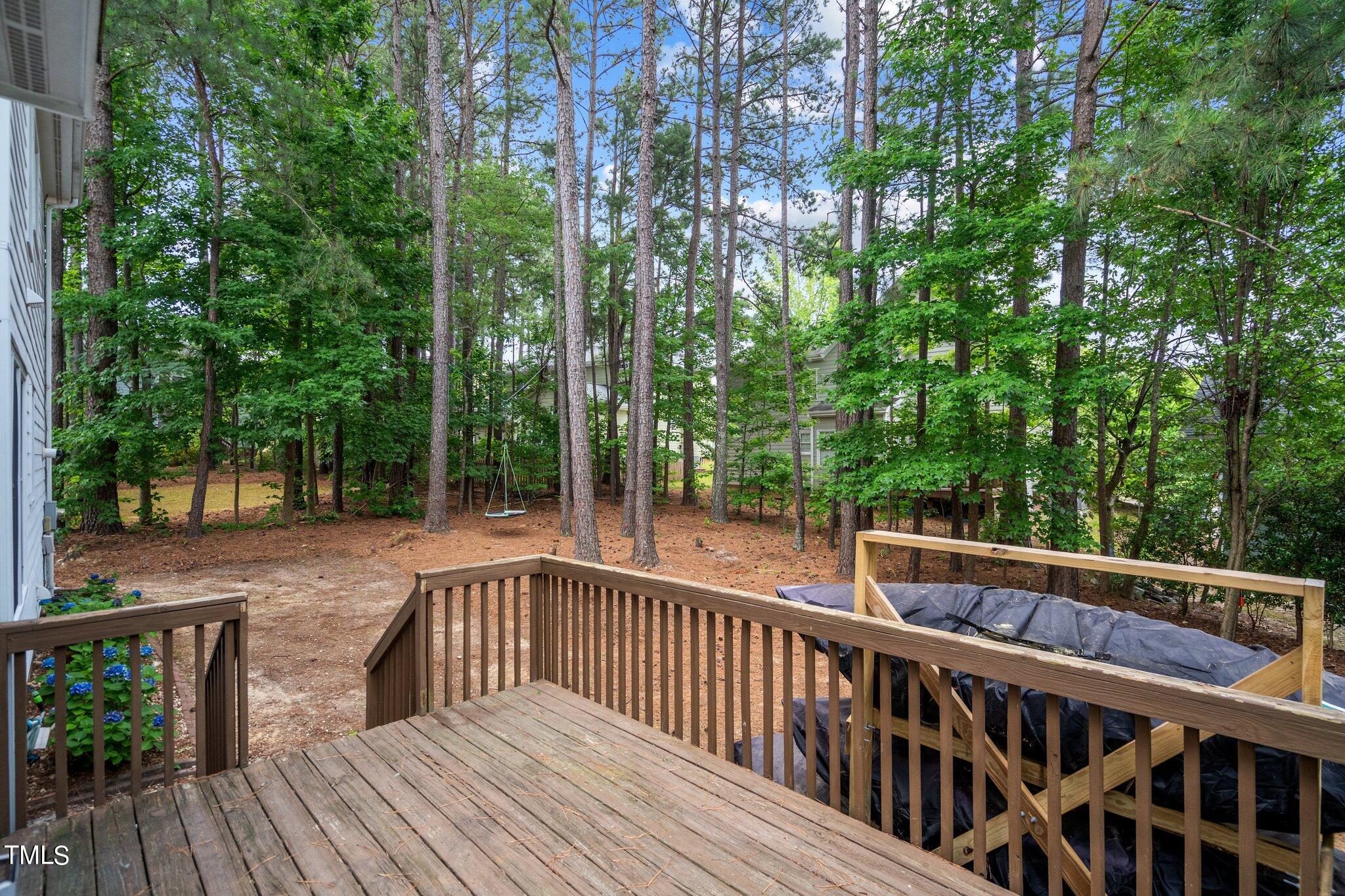 109 Rushing Wind Way Apex, NC 27502 - Photo 38 of 56 45-web-or-mls-_NFP3712