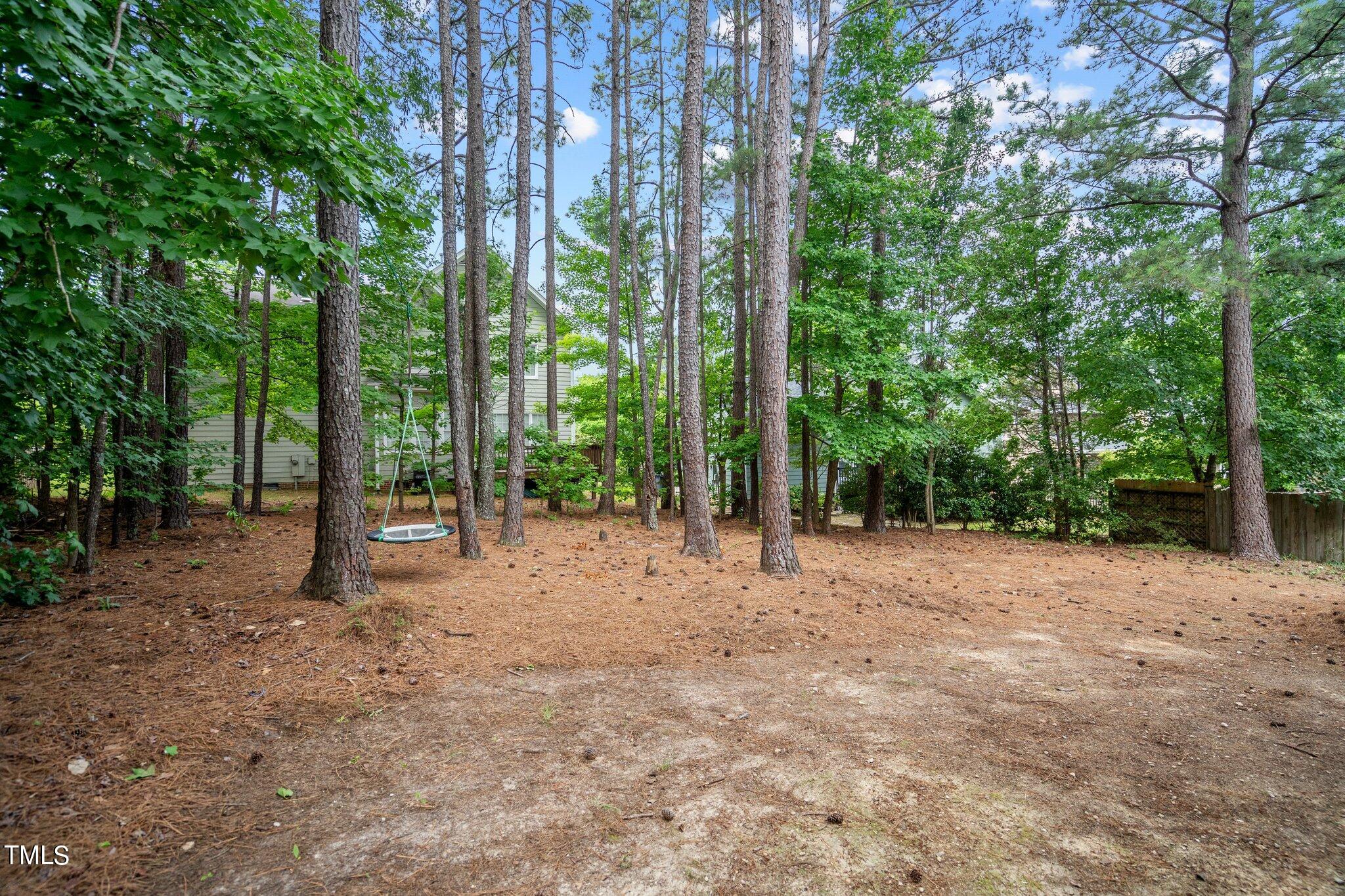 109 Rushing Wind Way Apex, NC 27502 - Photo 40 of 56 39-web-or-mls-_NFP3706