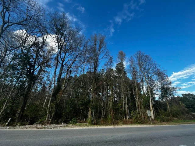 $899,990 | 12703 Low Country Highway, Ruffin, SC 29475