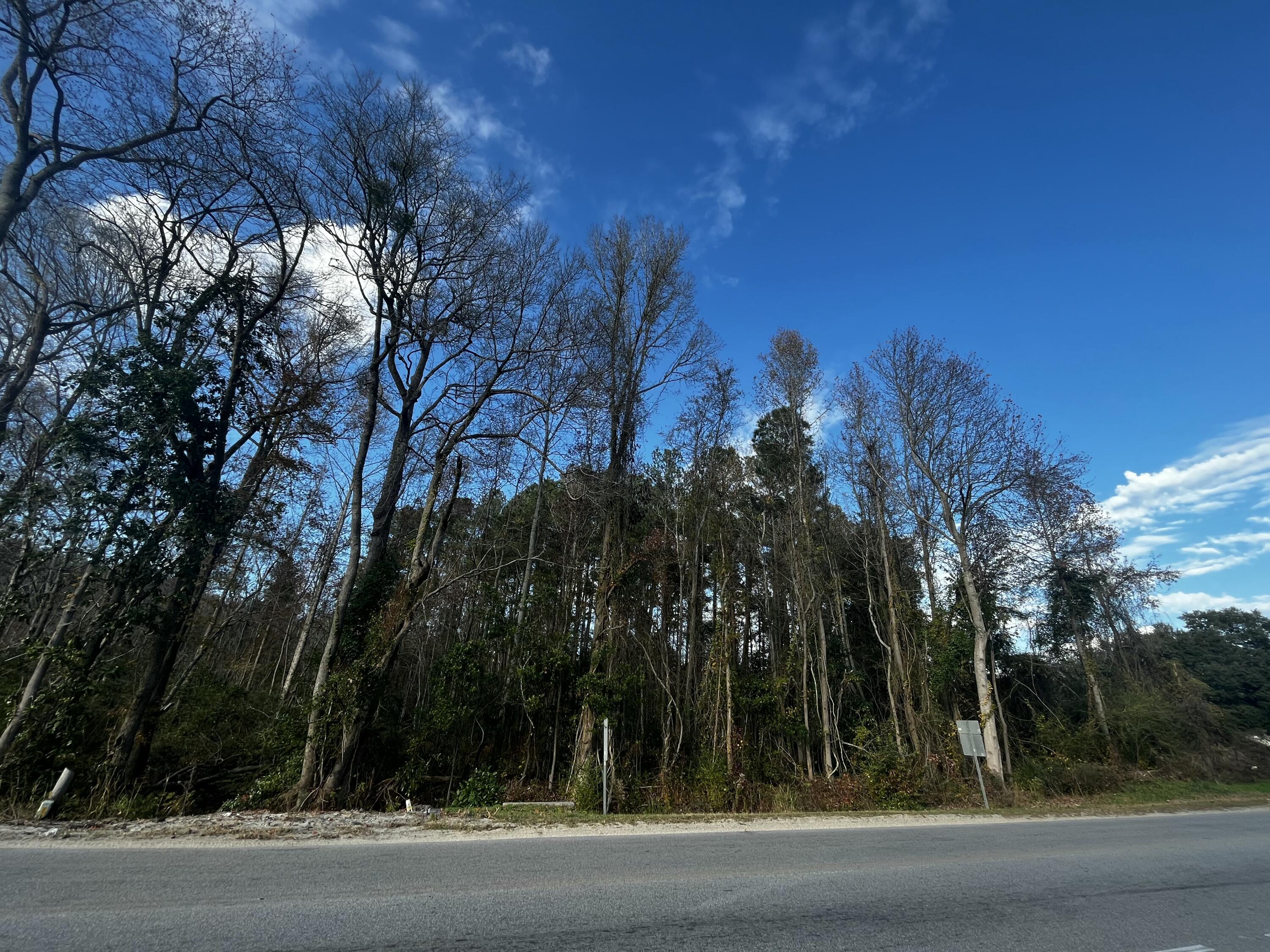 12703 Low Country Highway Ruffin, SC 29475 - Photo 13 of 23 20 (4)