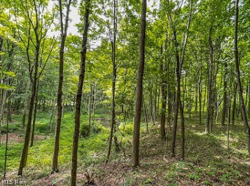 7047 Bayard Road Minerva, OH 44657 - Photo 13 of 20 Gallery Image 13