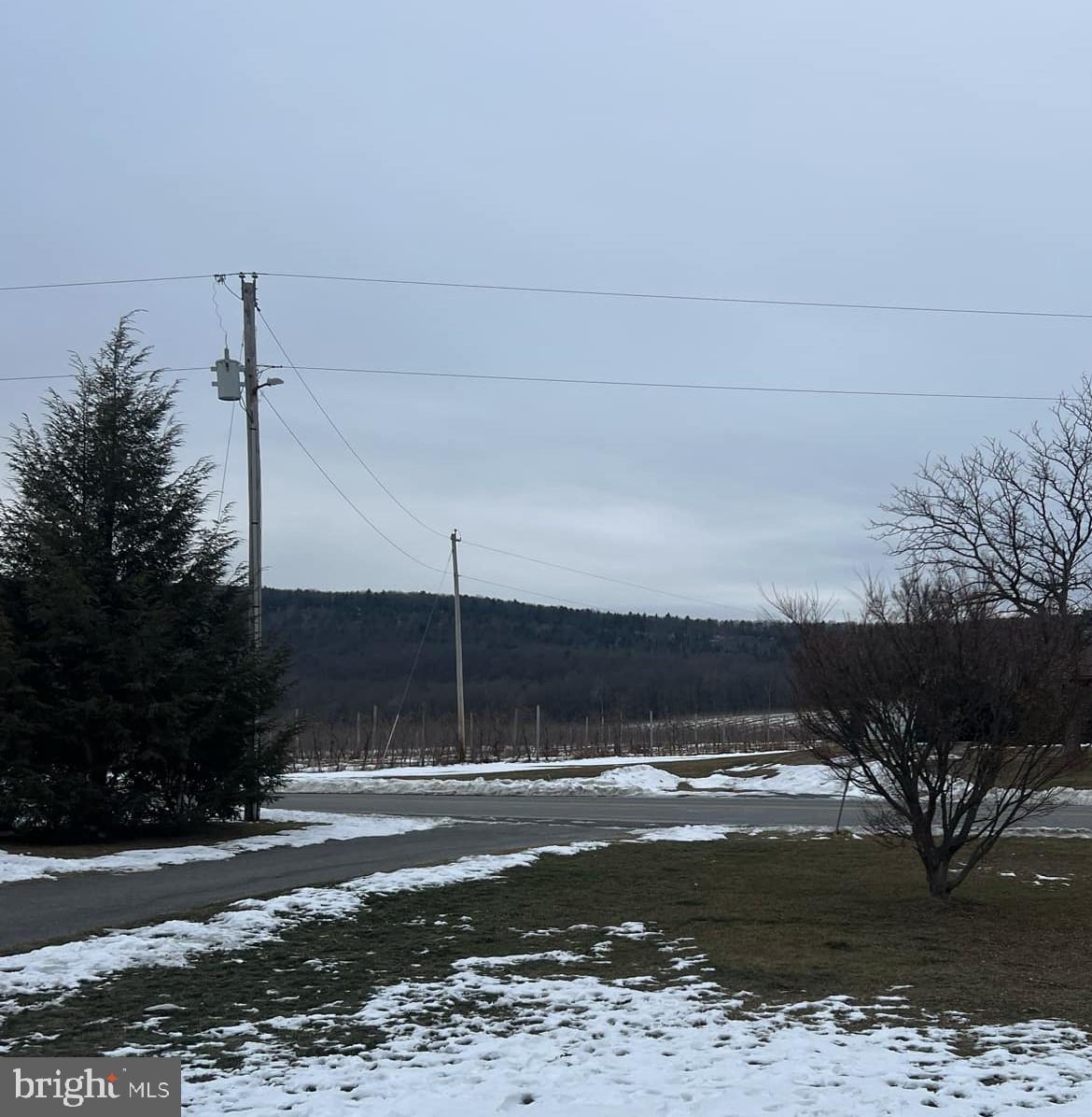 View of Michaux State Forest