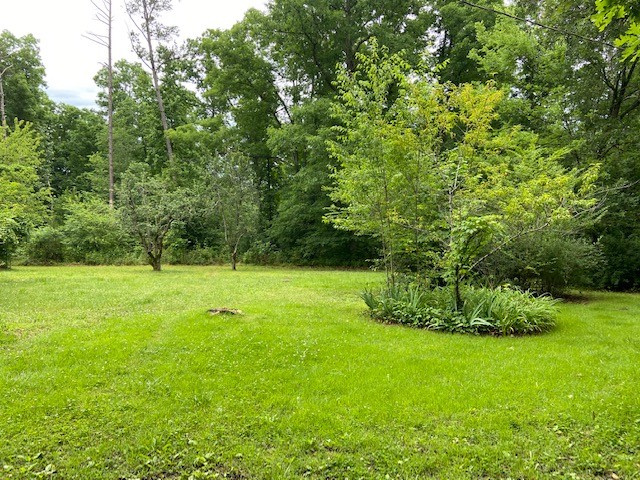 3004 Phillips Chapel Road Waynesboro, TN 38485 - Photo 3 of 16 Gallery Image 3