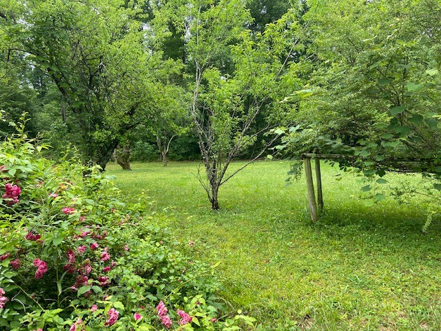 3004 Phillips Chapel Road Waynesboro, TN 38485 - Photo 4 of 16 Gallery Image 4