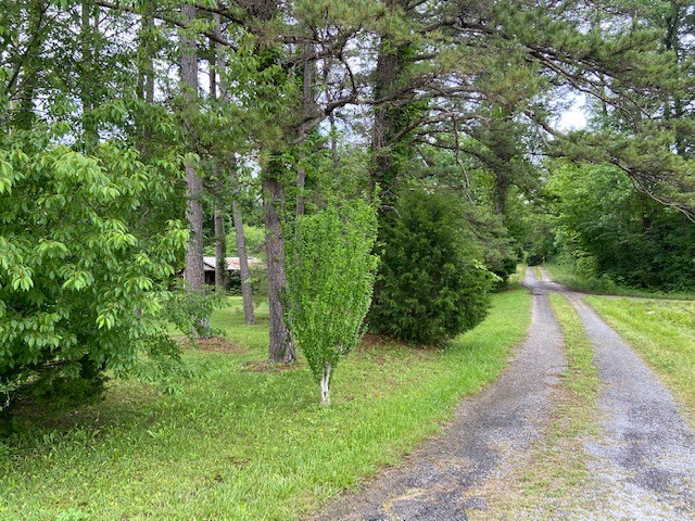 3004 Phillips Chapel Road Waynesboro, TN 38485 - Photo 5 of 16 Gallery Image 5