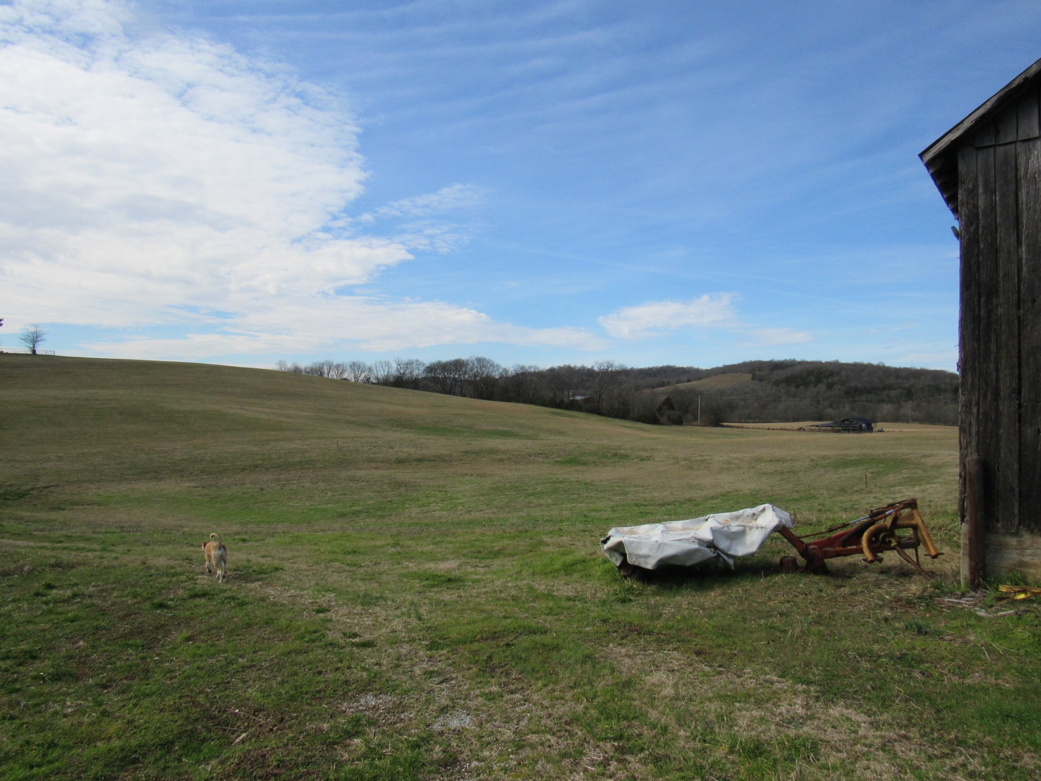 0 Hickman Road Liberty, TN 37095 - Photo 4 of 29 a view of a lake from a yard