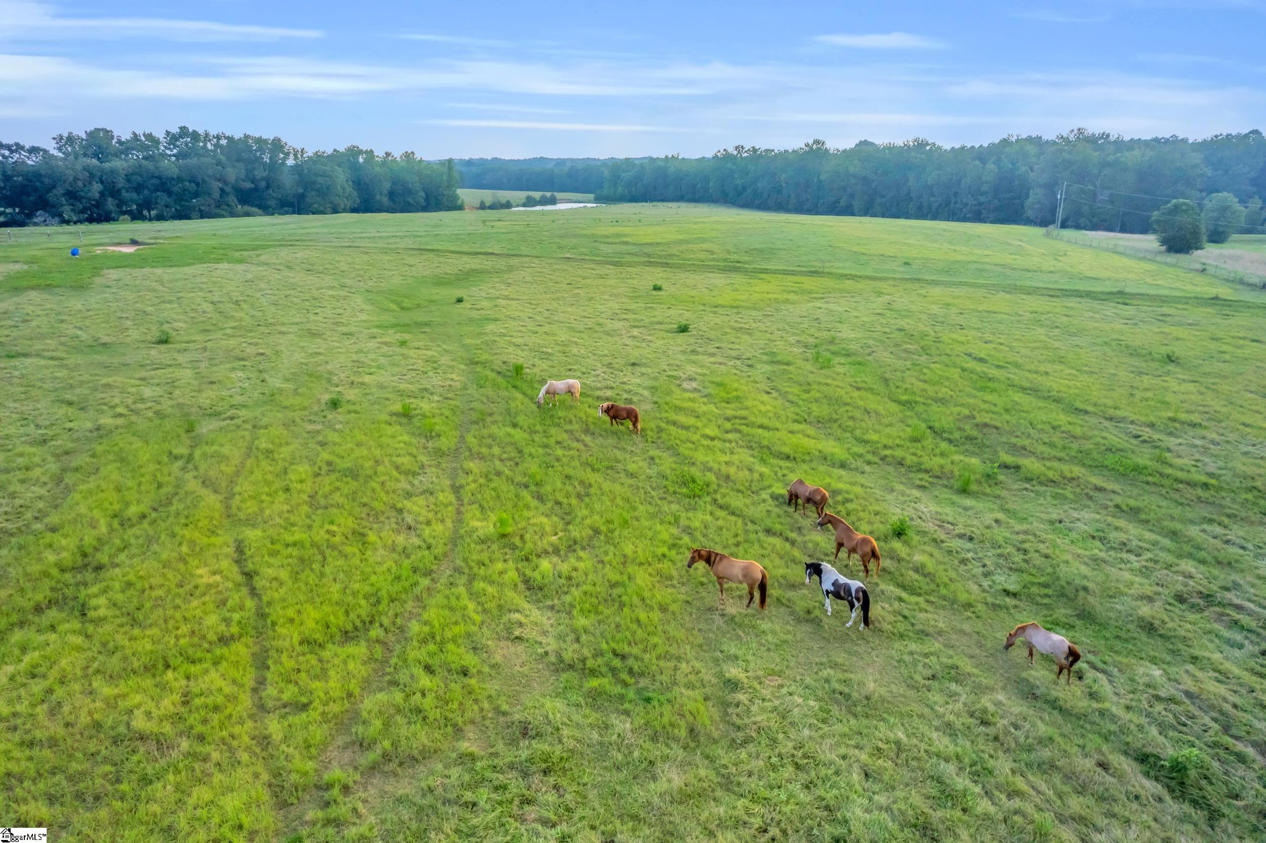 0 Docheno Road Belton, SC 29627 - Photo 31 of 31 Gallery Image 31