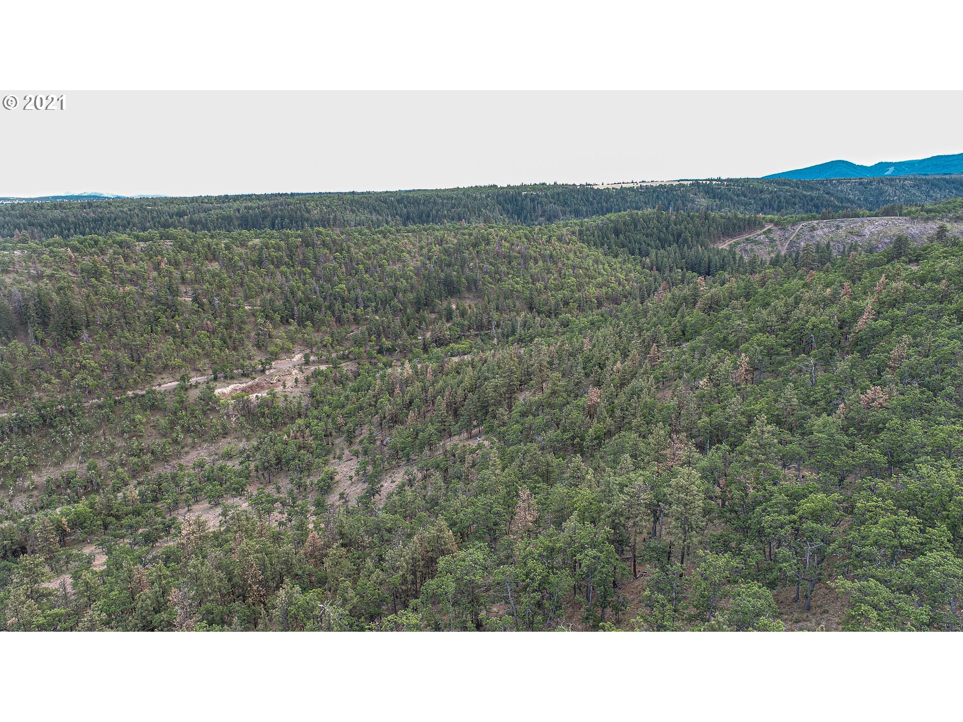 Ridegetop Road Dufur, OR 97021 - Photo 14 of 24 Gallery Image 14