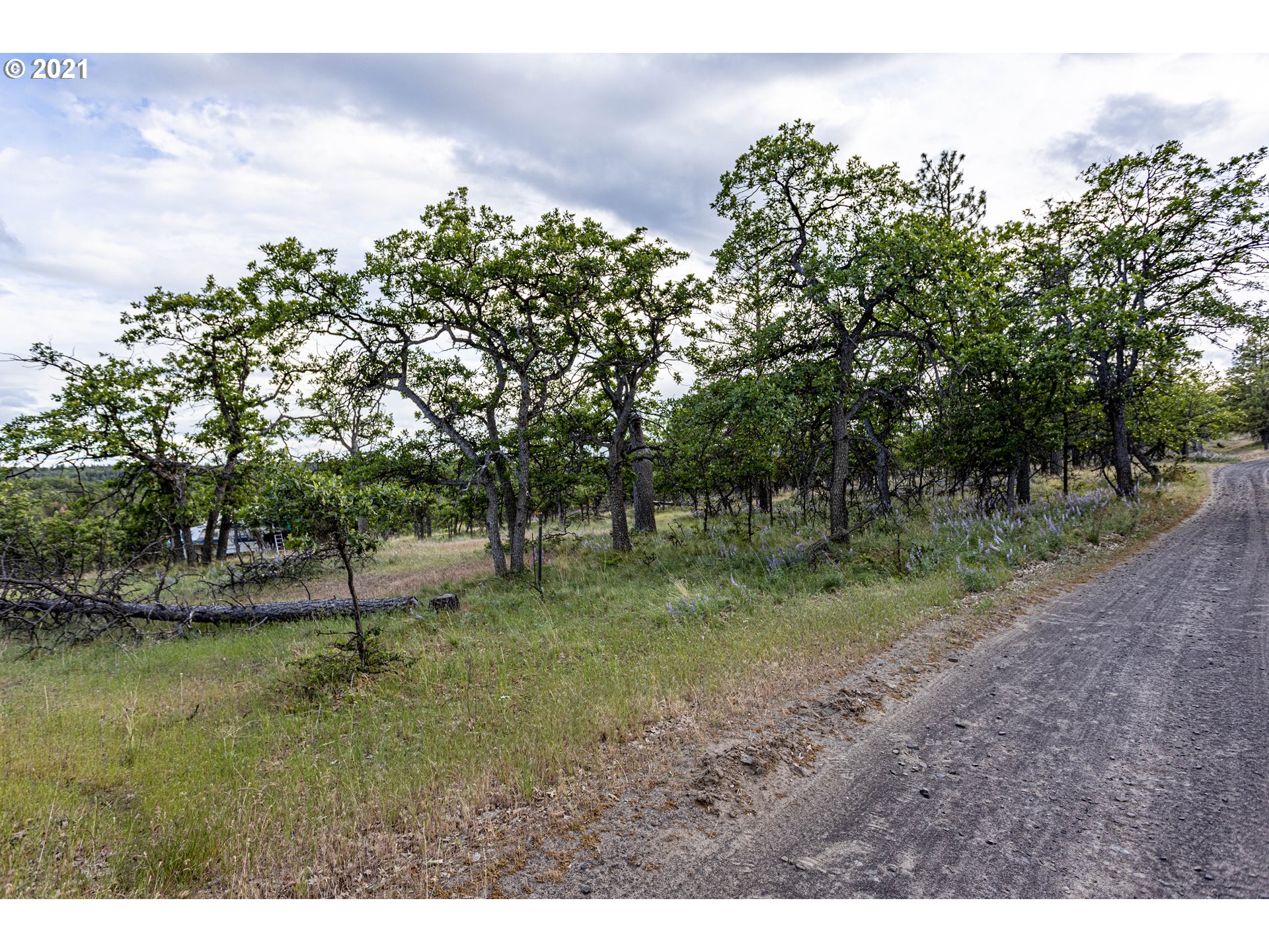 Ridegetop Road Dufur, OR 97021 - Photo 3 of 24 Gallery Image 3