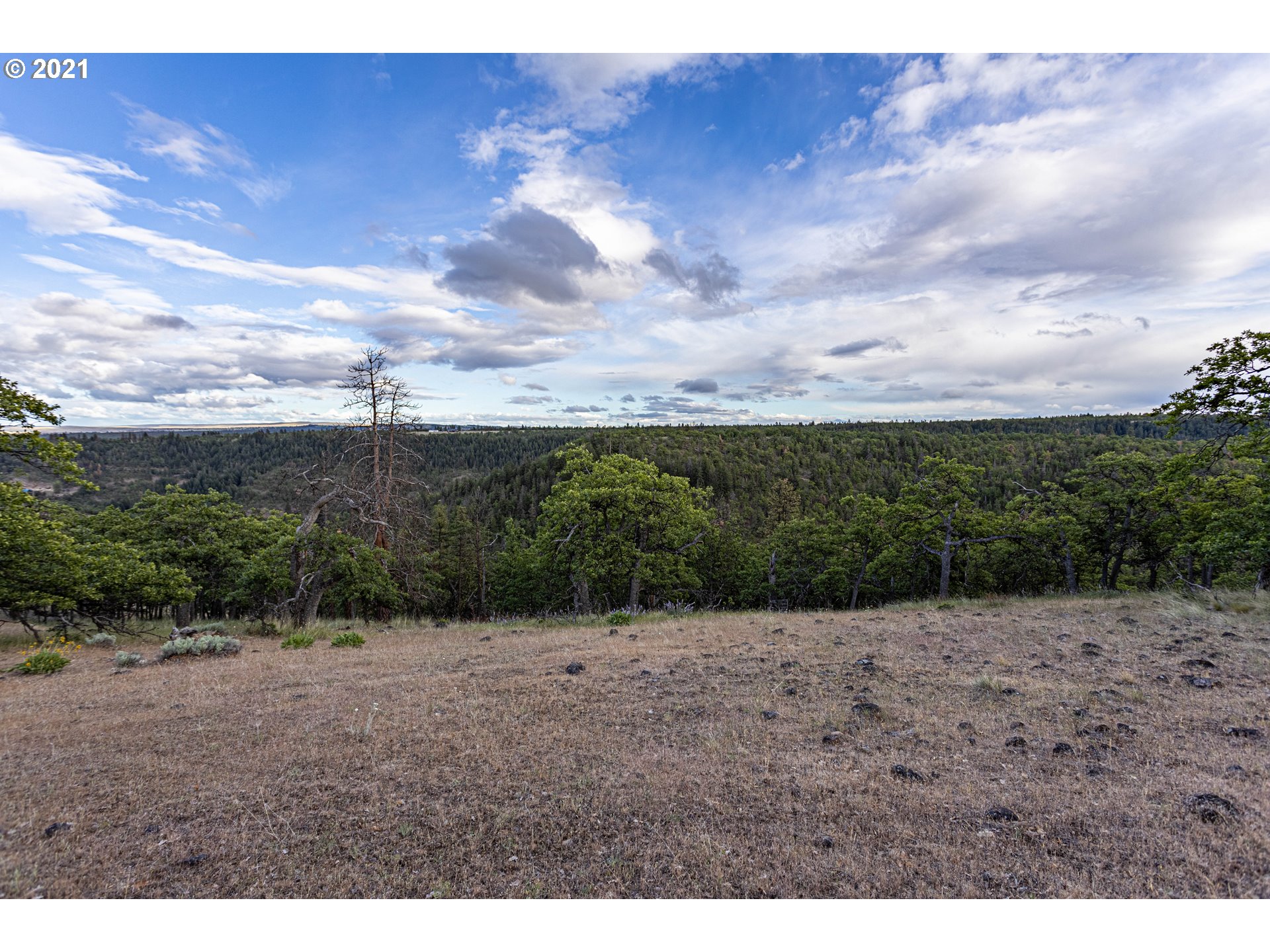 Ridegetop Road Dufur, OR 97021 - Photo 7 of 24 Gallery Image 7