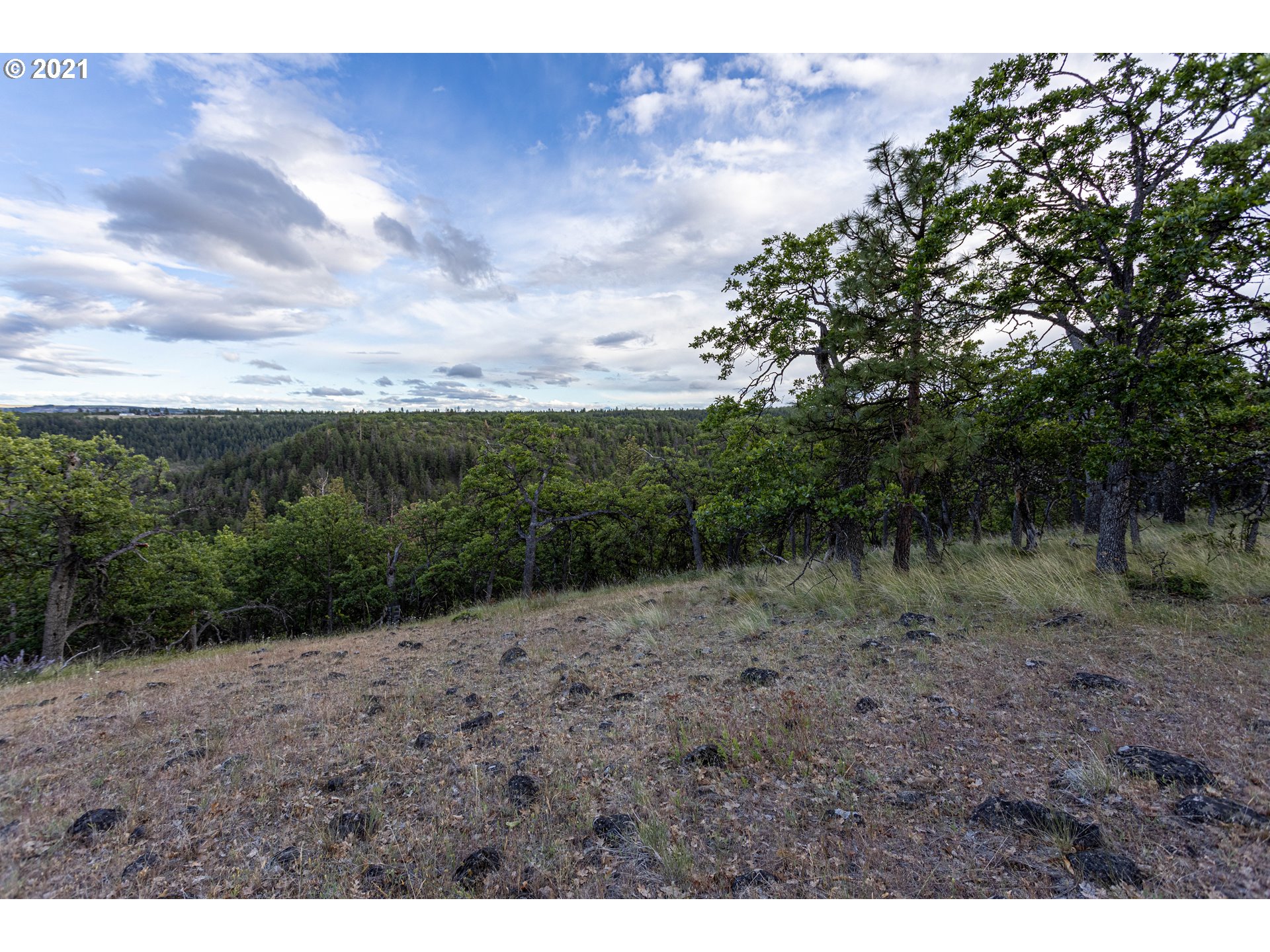Ridegetop Road Dufur, OR 97021 - Photo 8 of 24 Gallery Image 8