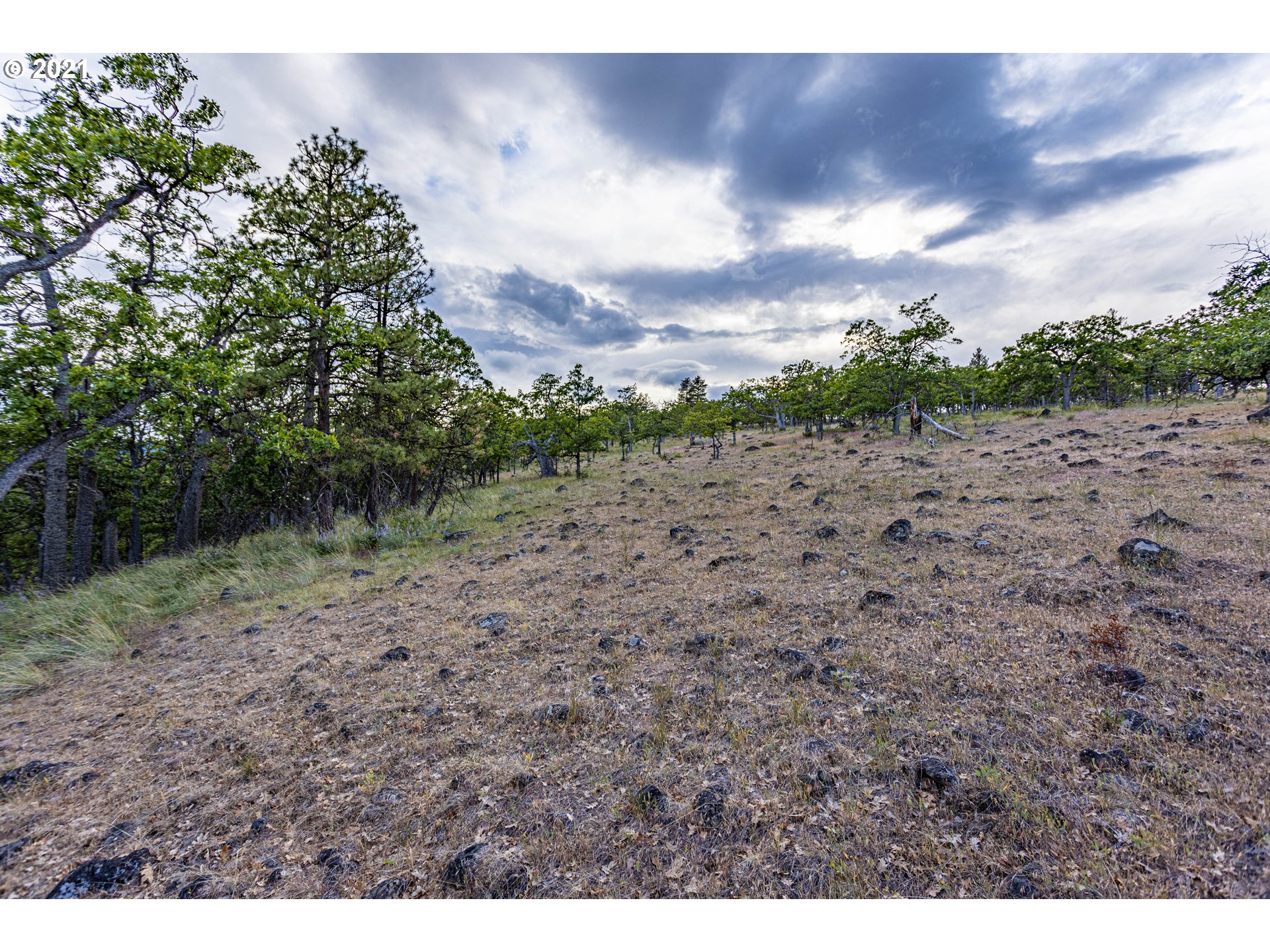 Ridegetop Road Dufur, OR 97021 - Photo 9 of 24 Gallery Image 9
