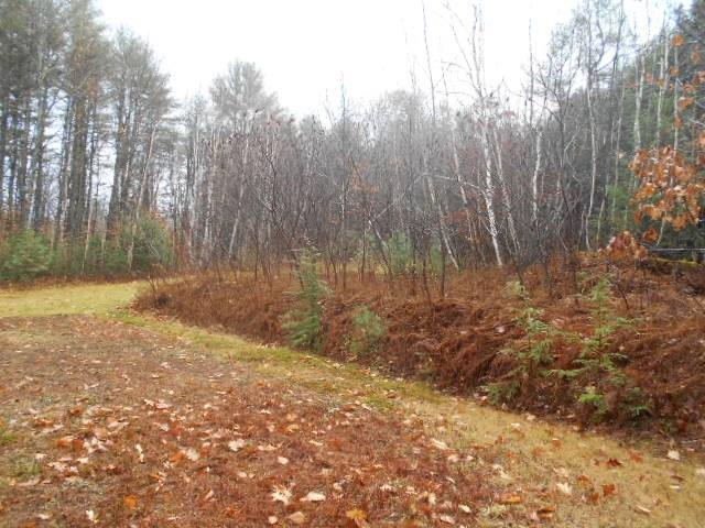 290 Colcord Pond Road Porter, ME 04068 - Photo 16 of 18 Photo