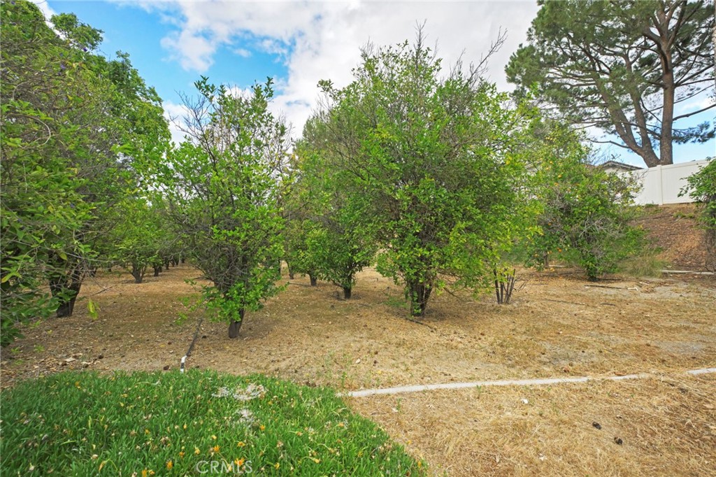 1923 Century Avenue Riverside, CA 92506 - Photo 63 of 74