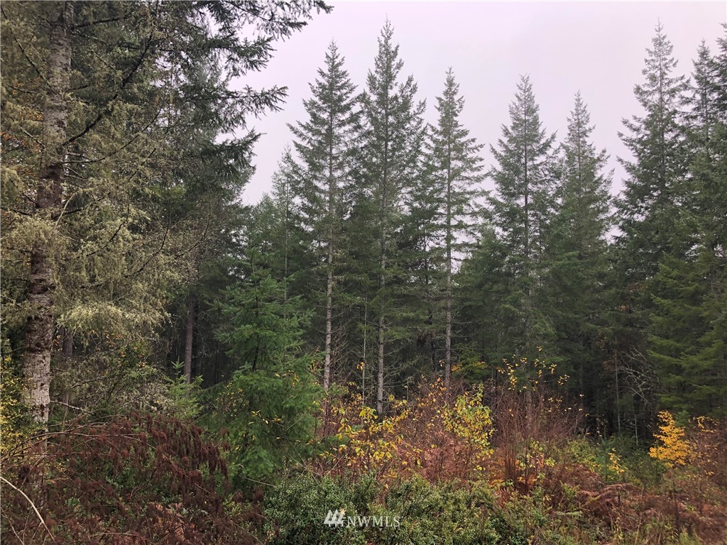 920 East Soderberg Road Allyn, WA 98524 - Photo 1 of 3 Gallery Image 1