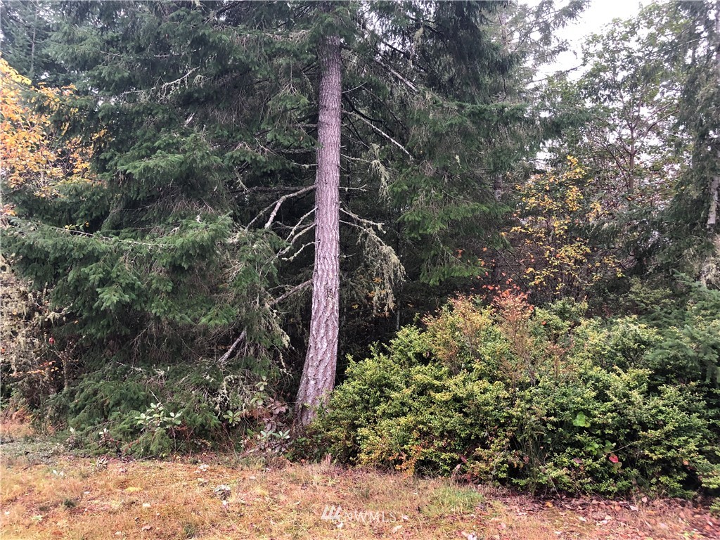 920 East Soderberg Road Allyn, WA 98524 - Photo 2 of 3 Gallery Image 2