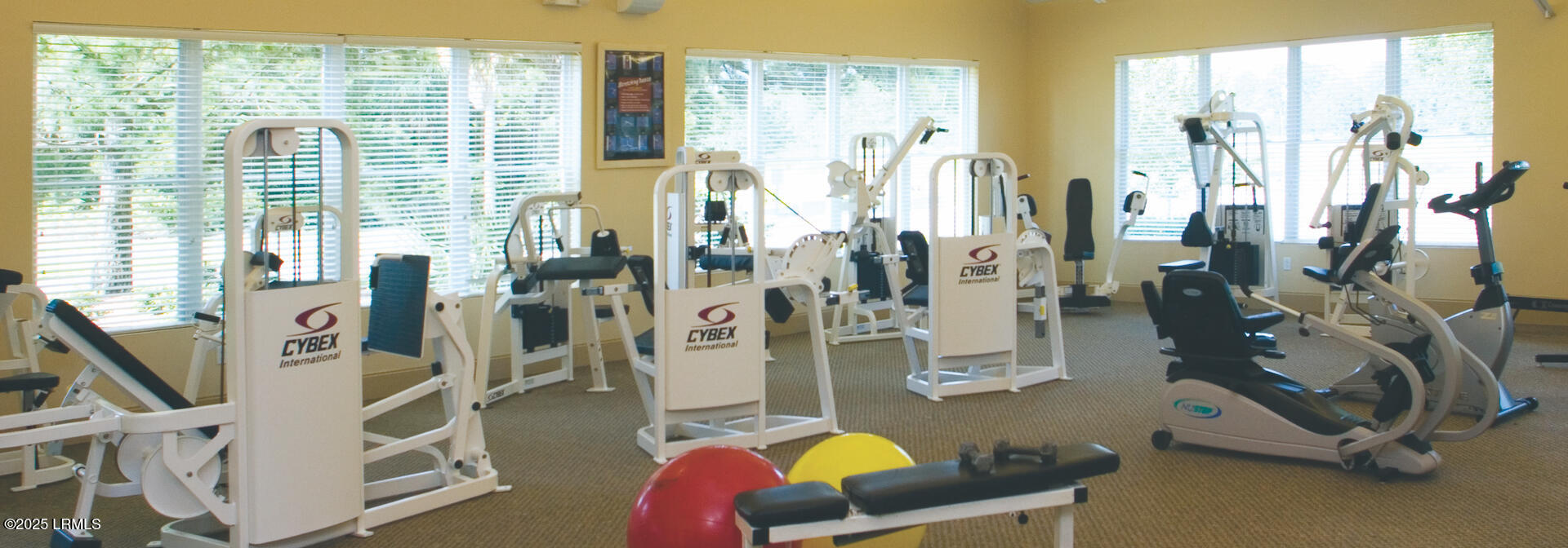 632 South Reeve Road St. Helena Island, SC 29920 - Photo 36 of 39 Fitness Center Panaromic